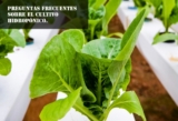 Preguntas frecuentes sobre el cultivo hidropónico.