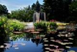 Jardín de agua y conservación de la misma.