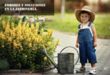 Errores y soluciones en la jardinería.
