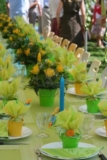 Algunos consejos para una fiesta en el jardín.
